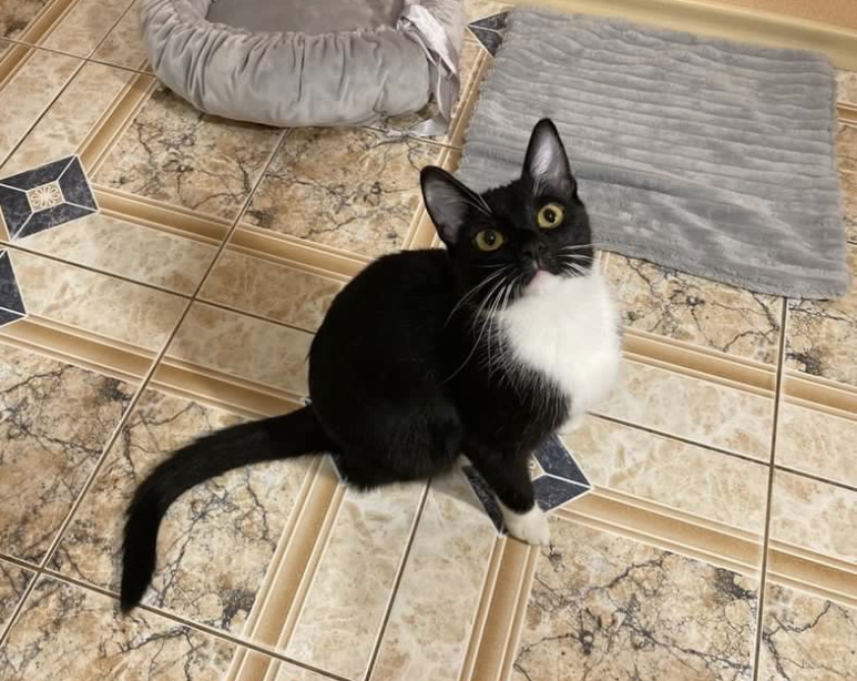 B746FB77-FDE5-4060-AE18-AC073D3C8EED