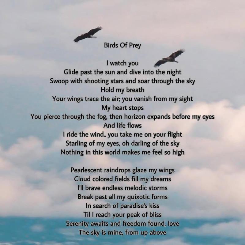Ambedoverse-Birds-Of-Prey-lyrics.jpg