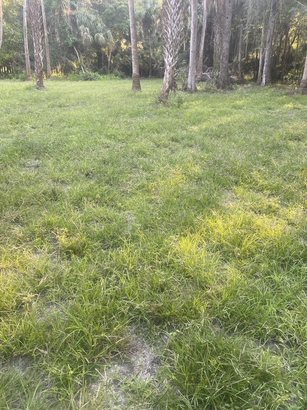 09FB4F88-9213-4066-BAD8-45E2D145F804