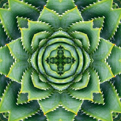 07-Januar2019-Mandala1.png