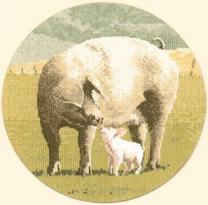 AMPT449-Pig-Tales