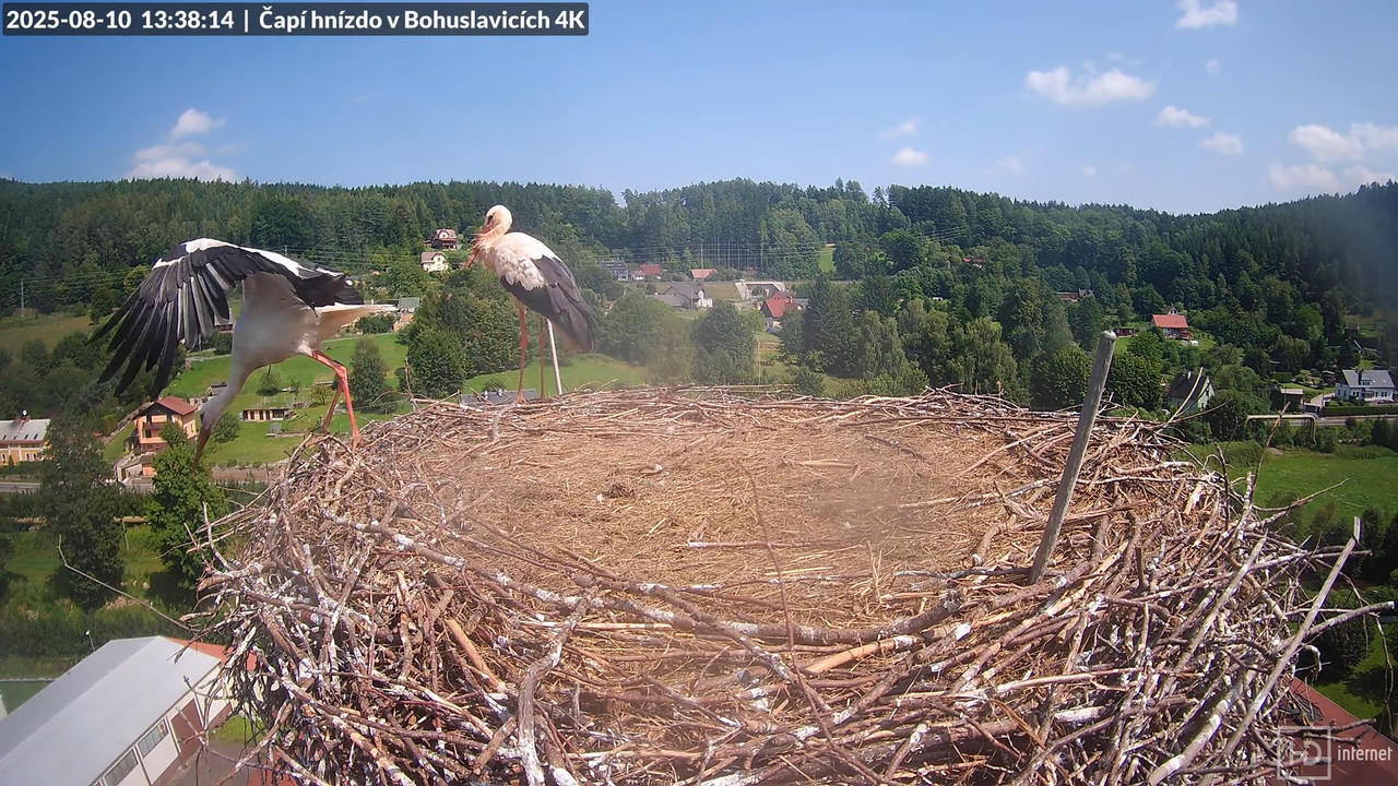Živě z čapího komína firmy KARA v Bohuslavicích u Trutnova 6-19-42 screenshot