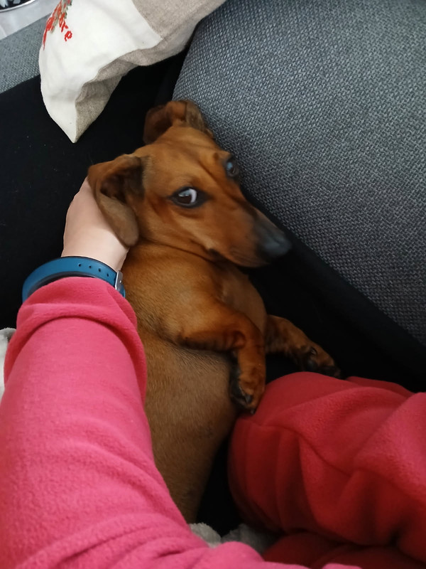 [Image: IMG-20250501-180255.jpg]