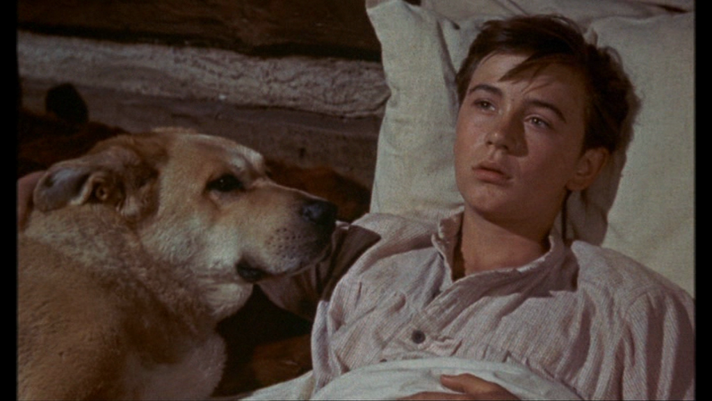 vlcsnap-2018-06-16-19h56m02s238