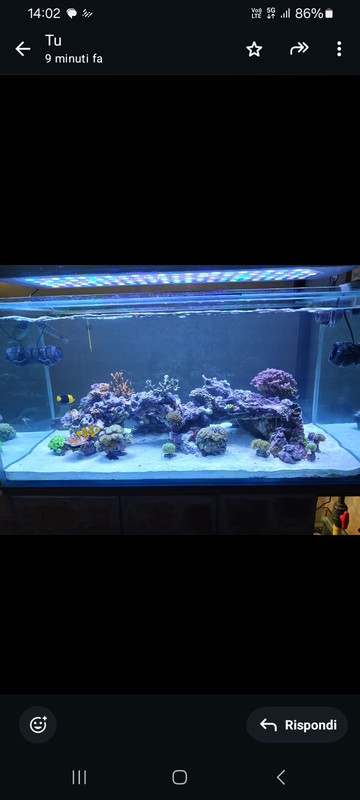 Screenshot 20260103 140215 Whats App