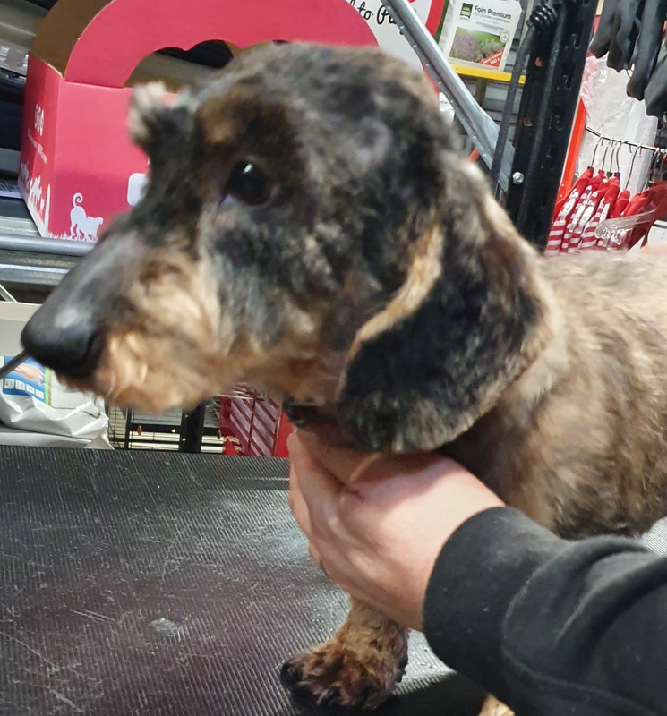 [Image: 20210108-171143.jpg]