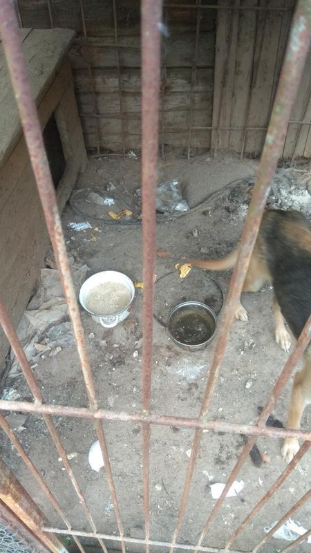 445FEE8D-D0BD-4B6B-A5AD-09B35D8BCE03