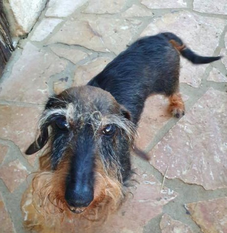 [Image: 0aab946d2a447034aef013f65341b58f.jpg]