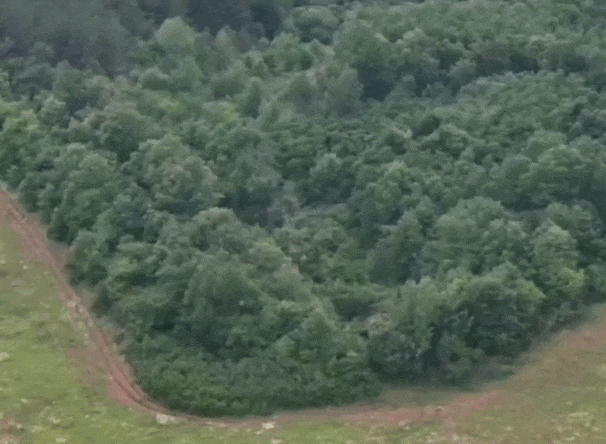 https://i.postimg.cc/DyHbKVx9/video-2026-07-29-03-46-27-(1).gif