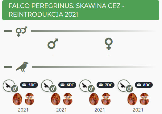 CEZ Skawina. Przechwytywanie-w-trybie-pe-noekranowym-13-07-2021-193400