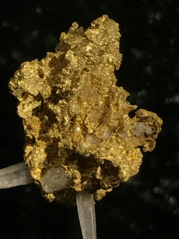 62D9F938-B936-4911-990A-8E1FB056C18E