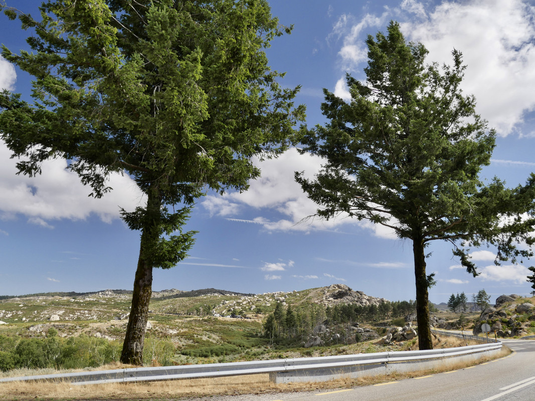 5D44D3C5-505D-4EE1-BB32-1974072920B8