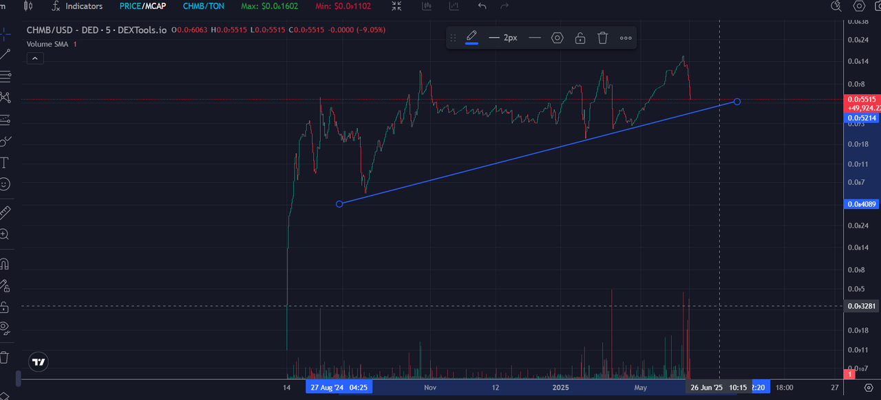 поддерживающая