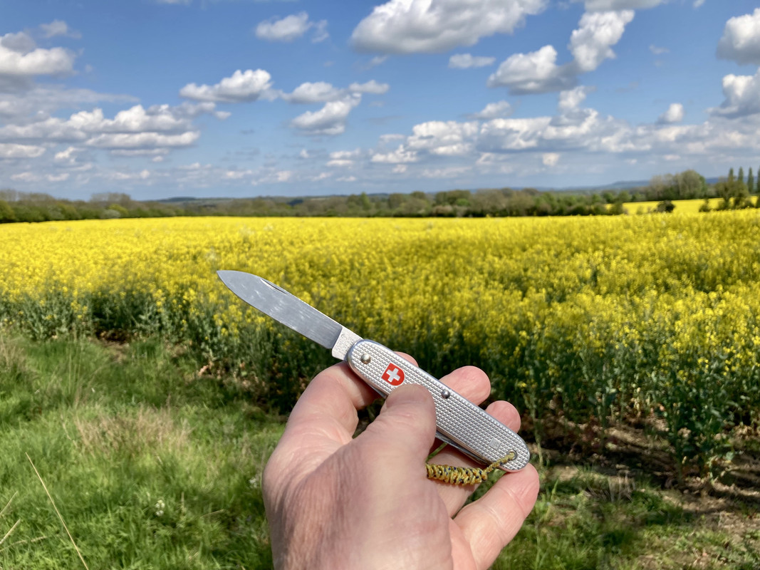 0361BCE5-E9CB-4F3D-8919-843727BCE96F