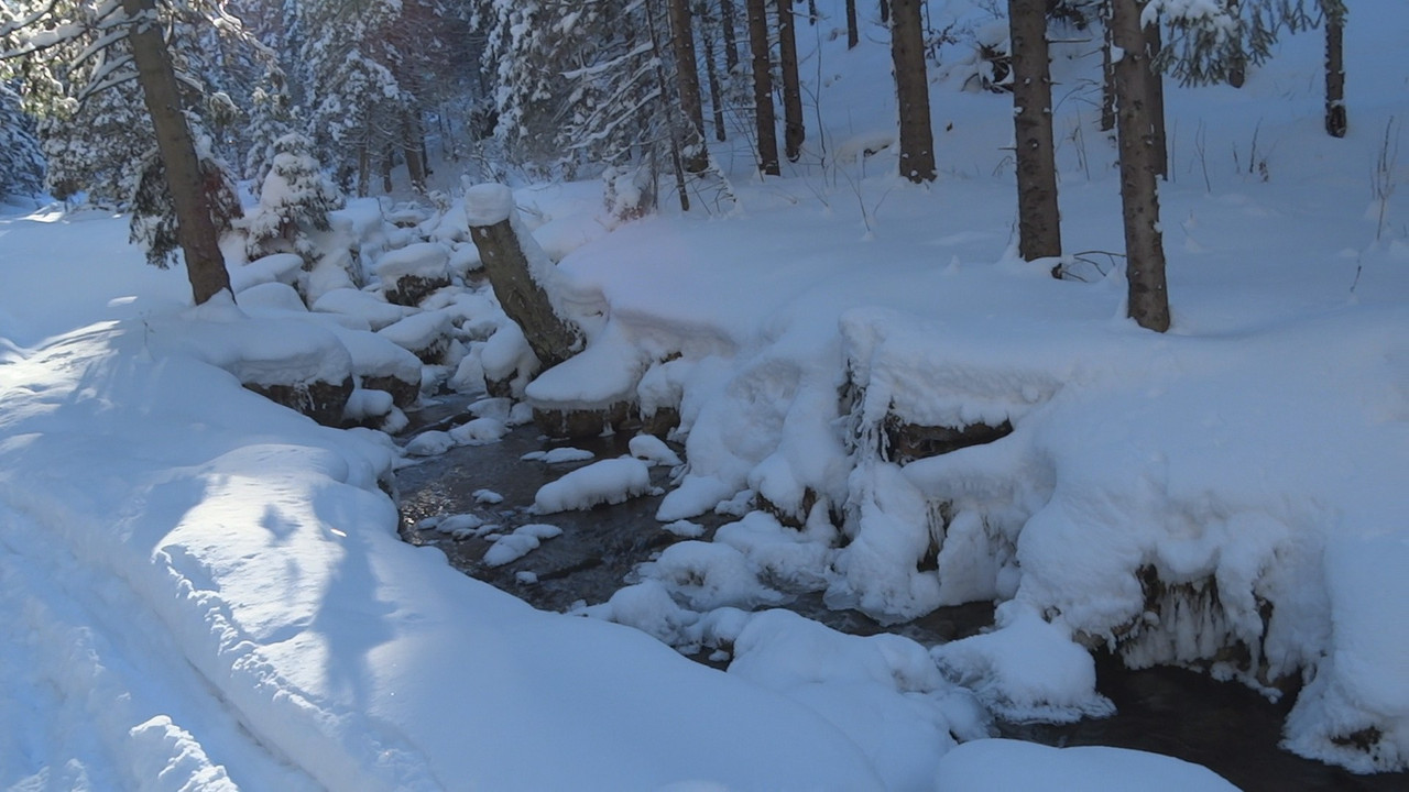 05.26 - Spacer Doliną Małej Łąki_003246