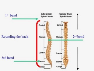 the-back.jpg