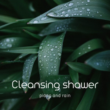 VA - Cleansing Shower (Piano and Rain) (2022)