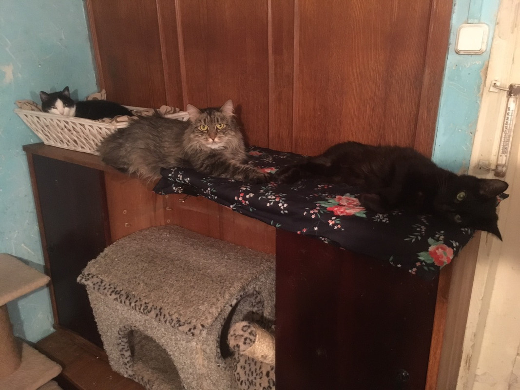 Кьяра Пуся и Масик