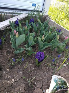 IMG_20220430_120202