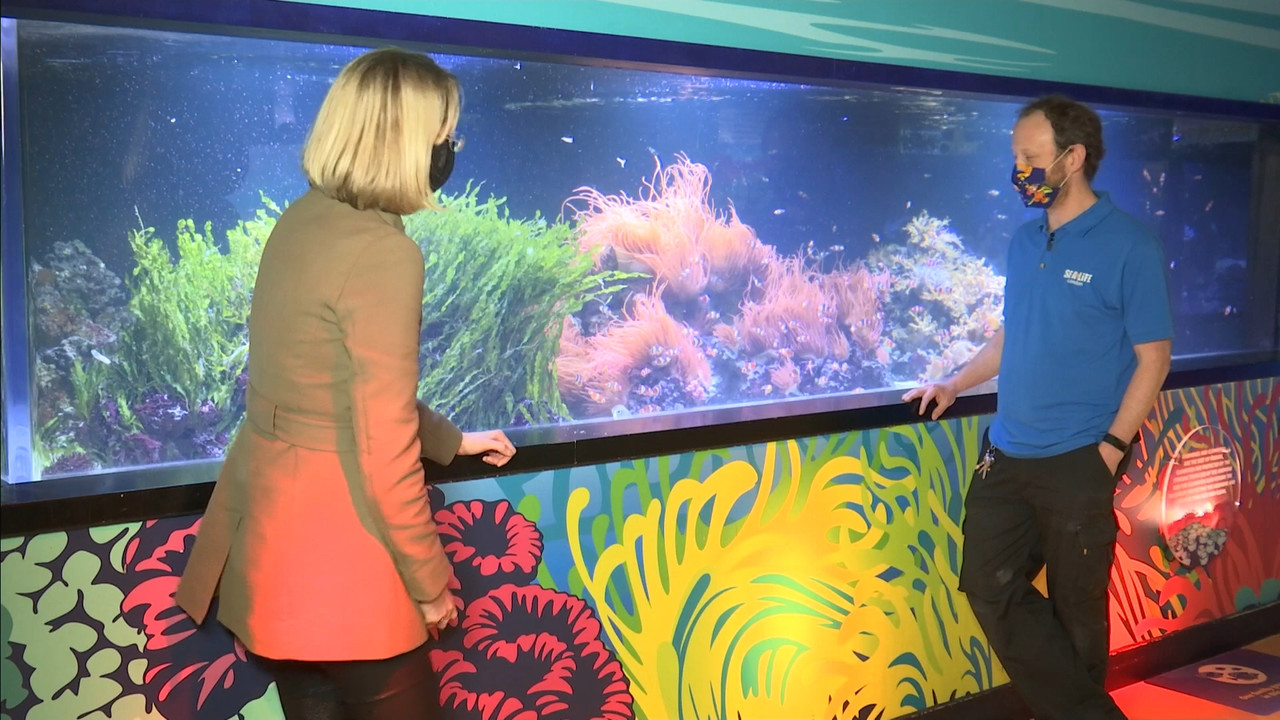 ITV News London_20210208_18001830.ts_snapshot_29.54.838