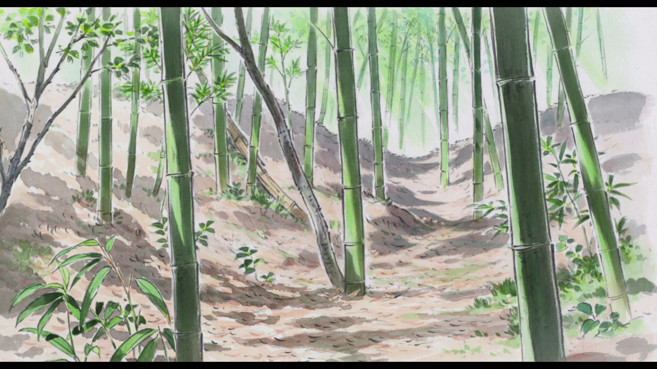 vlcsnap-2024-01-21-13h48m18s061