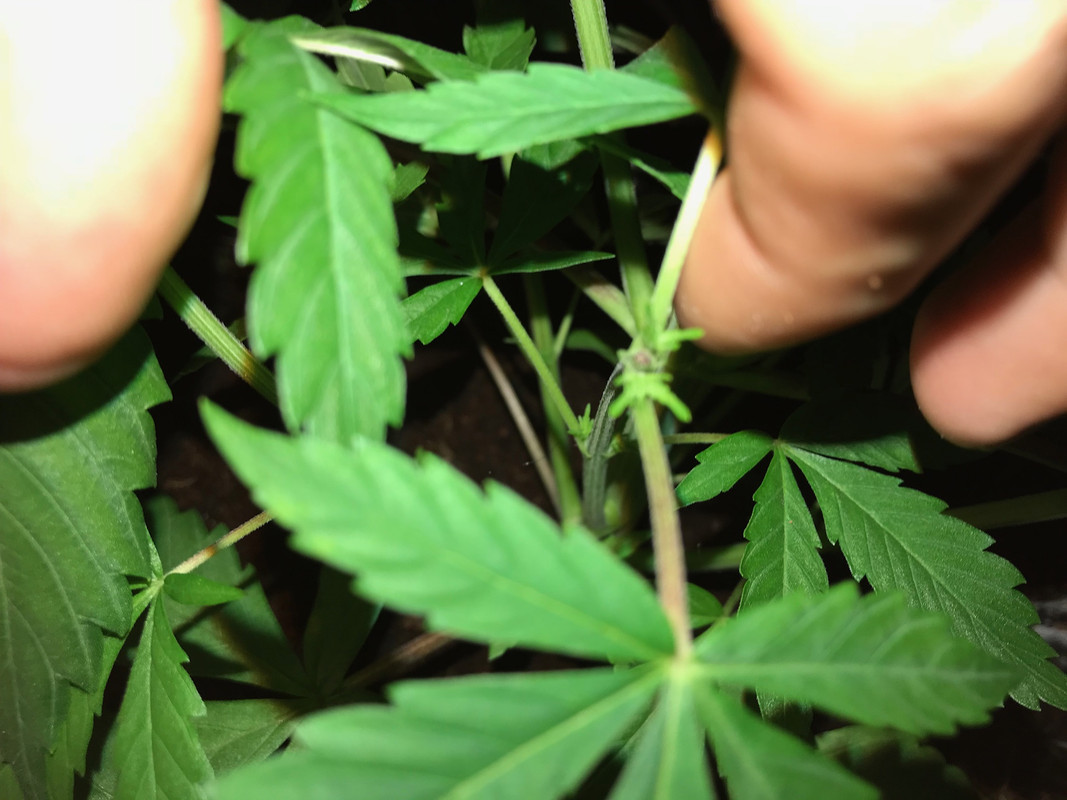 A4CC2875-4C8A-4AB7-ACE6-BF61D2B58108