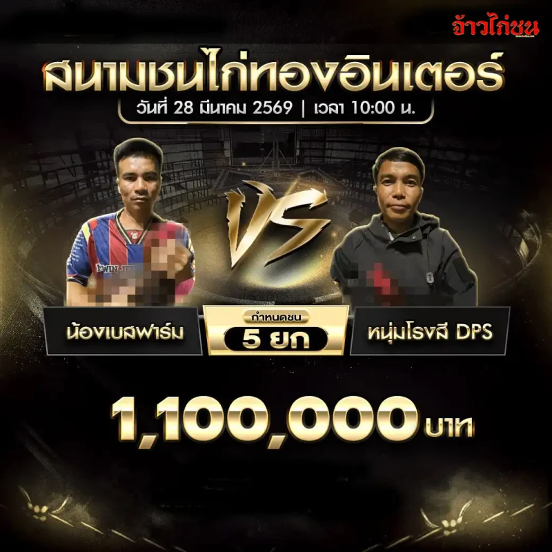 โปรแกรมไก่ชน คู่ น้องเบสฟาร์ม พบ หนุ่มโรงสี DPS วันที่ 28 มีนาคม 2569