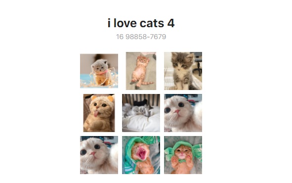Stiker bergerak WA I Love Cats 4