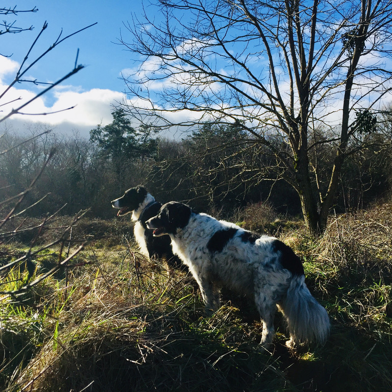 94FA99E1-4CDC-4EFD-A11A-A56198A973FD