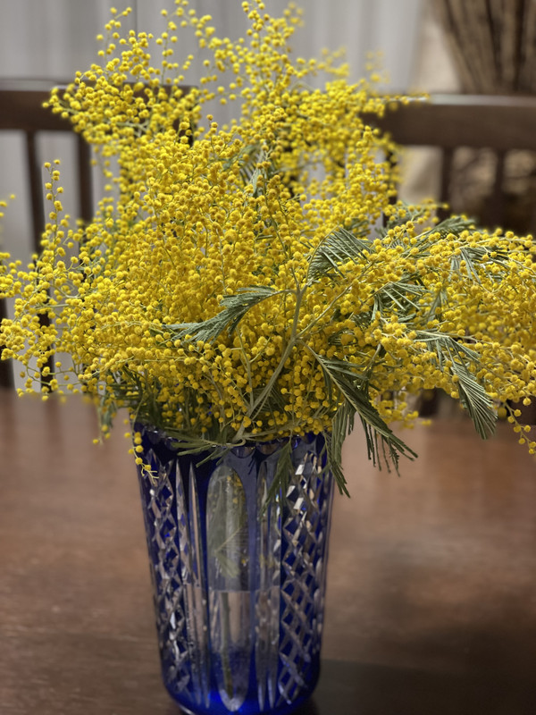 6B47F9ED-A933-41A5-AB08-7A225FAE50AD