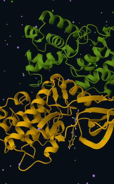 compressed-compressed-cmpd-72-animate-trajectory-(1).gif