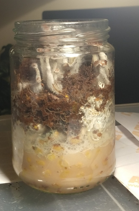 IMG_20211130_210512543~2