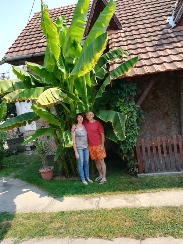 40098616_239704223410154_5635544649142632448_n