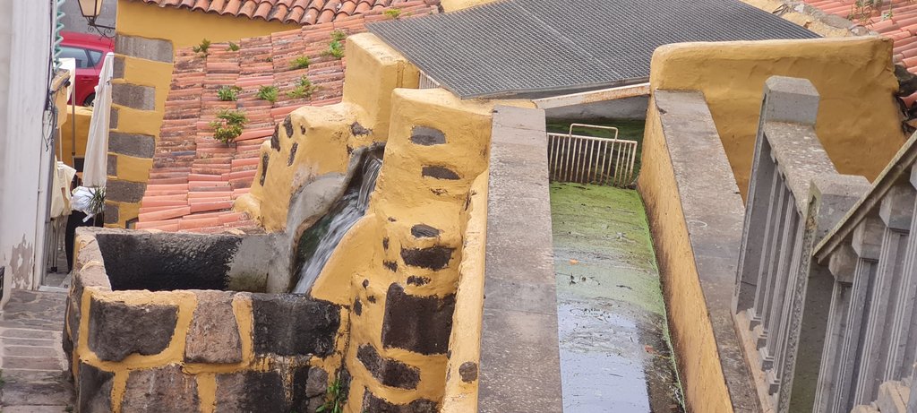 Gran Canaria: una paleta de colores - Blogs de España - Cocodrilo Park - Playa del Inglés - Arucas - Firgas (11)