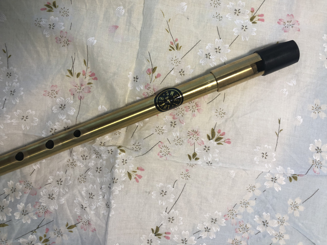 John sindt 2024 tin whistle