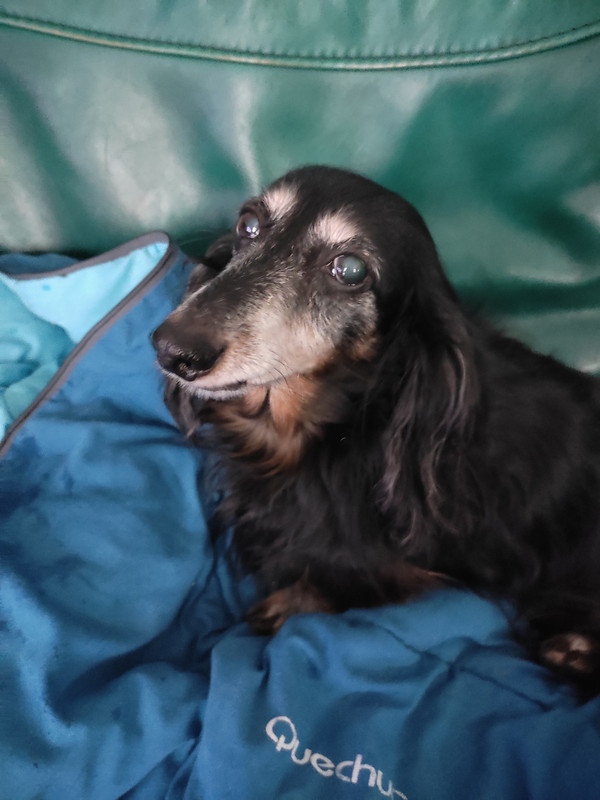 [Image: IMG-20220116-134844.jpg]