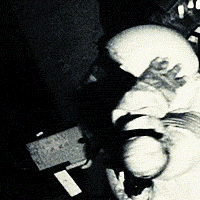 guilty-pleasure-movies-av1.gif