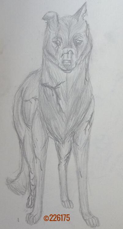 9CD9EFF4-2365-40F5-83C1-91EB292827A6