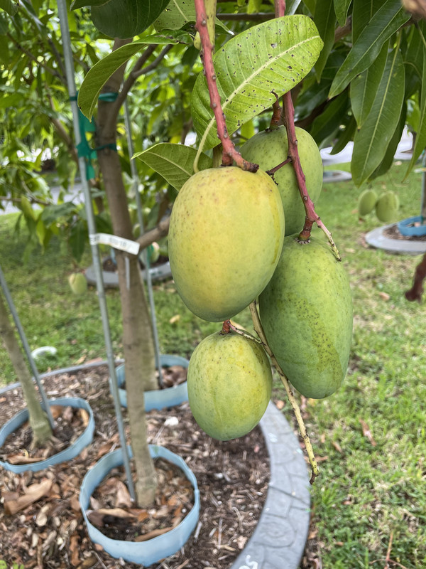 38123C03-0E99-4293-938C-DF008AFF3C0C