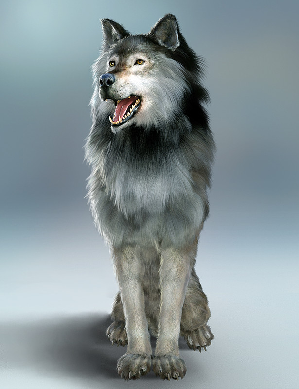 Dire Wolf Animations for Daz Dog 8 and Genesis 8 Dire Wolf Animations for Daz Dog 8 and Genesis 8