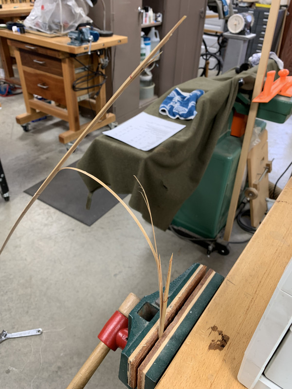 BF7B3A3B-C90C-42C8-BB20-0223C99BE291