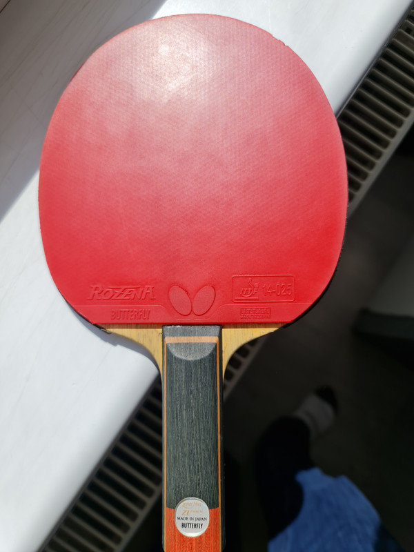 4. BTY AI FUKUHARA ZLF (3)