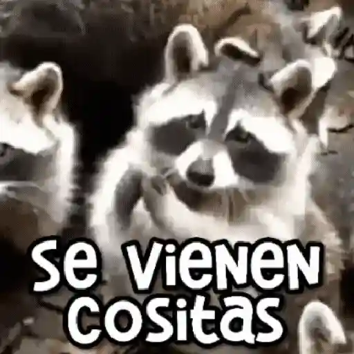 0f142e36-07d0-4dd5-8f5b-37a048d8c376.webp
