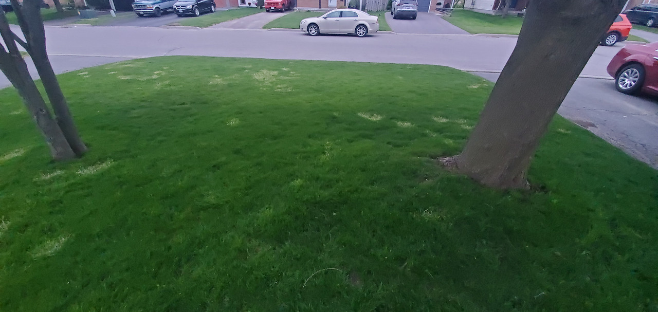 I made a huge mistake. | Lawn Care Forum