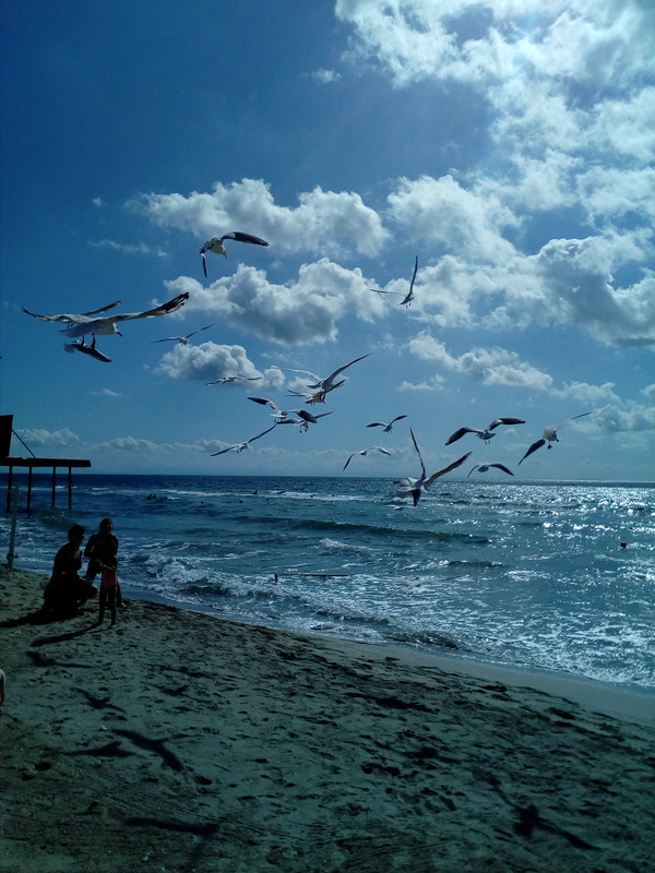 IMG_20170924_114845_1CS