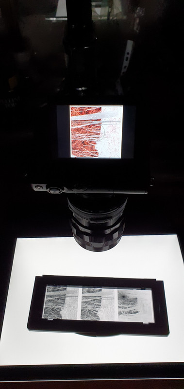 20220227_115805 (606x1280)