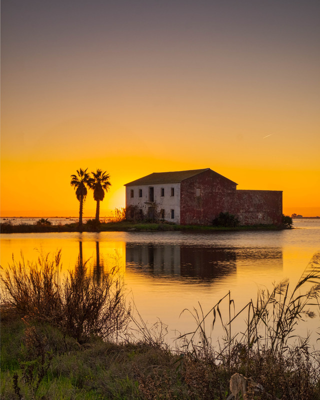 _DSF3184-HDR-2-Editar