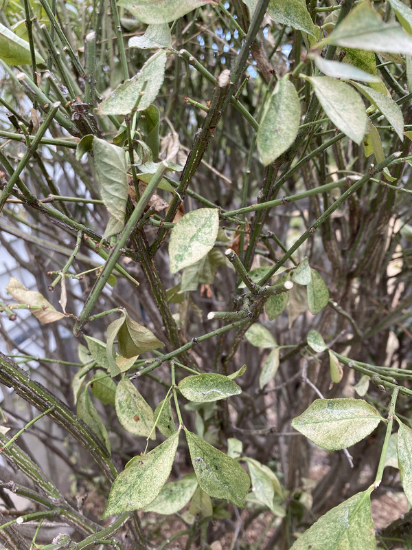 E8949DFC-3FD7-4E1F-8215-7FAFD0EAE023