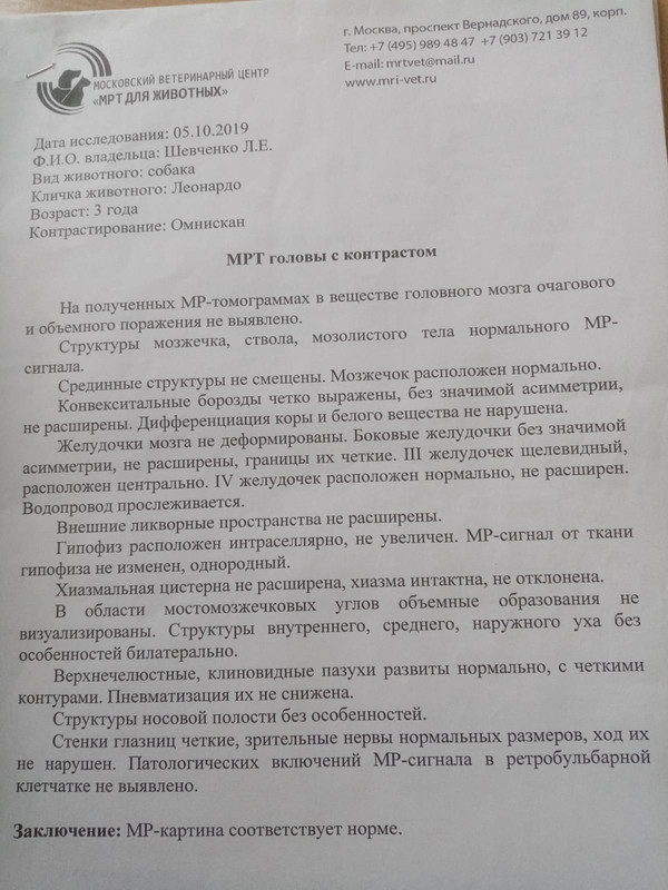 IMG-20230305-WA0002
