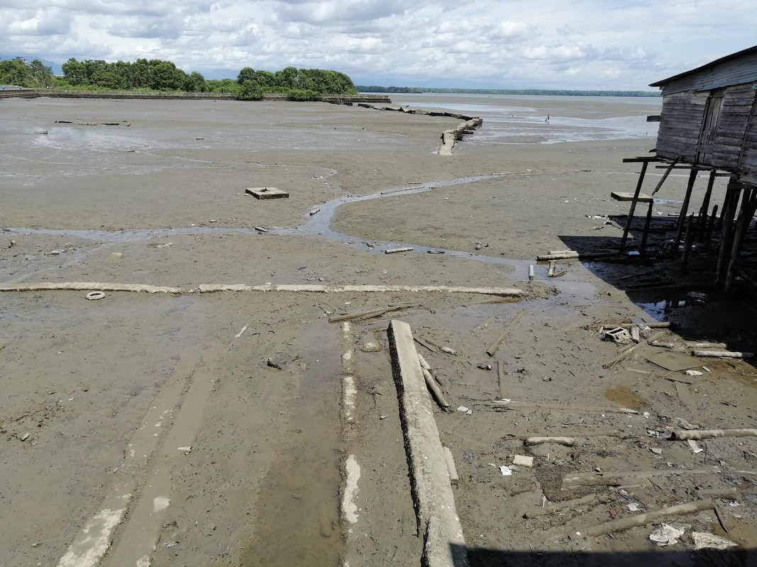 Colombia por libre en 18 días - Blogs de Colombia - Avistamiento de Ballenas en Buenaventura (7)